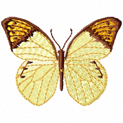 Butterfly Embroidery Design 6